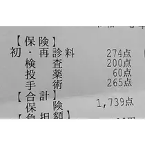 ひな