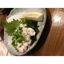 宝條 夏恋