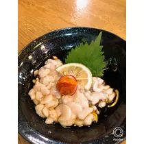 宝條 夏恋