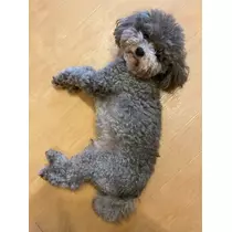 うづき ふうか