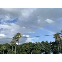 橘 せいら