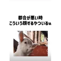 えりか
