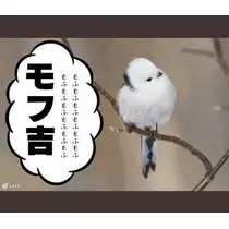 ひな