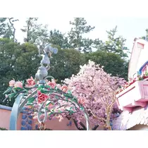れんか