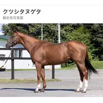 さくら