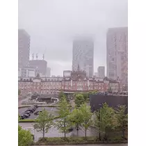 ひな