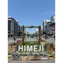 えり