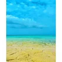 ゆかり