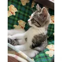 ユズ