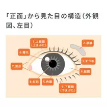 ひな