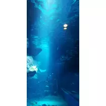 あい