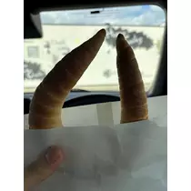 ゆり