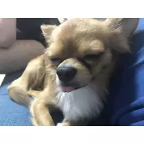 ユカ
