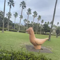 ちゃお