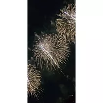 桃 かんな
