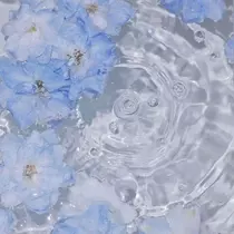 あんな