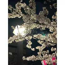 あや