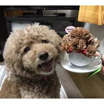 仁華