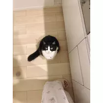 るい