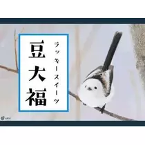 ひな