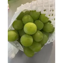 白石 愛莉