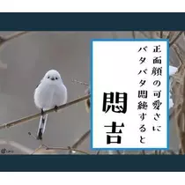 ひな