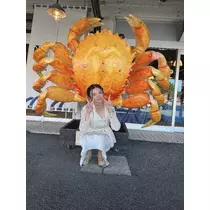天乃 星羅