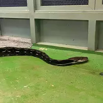 そら