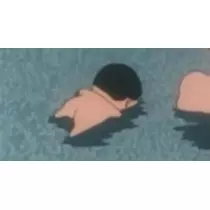 司