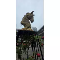 りか