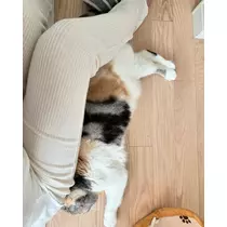 みつき