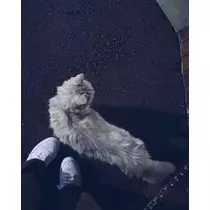 ゆめ