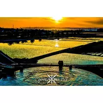 神崎　唯