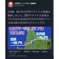 七星 夏純