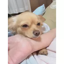 るな