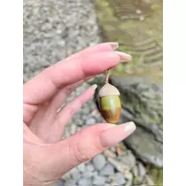 あこ