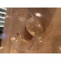 桜井 ちひろ
