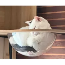 結城 かなの