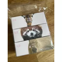 白石 愛莉