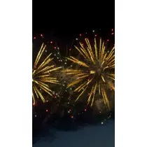 美咲 のばら
