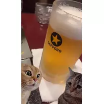 七星 夏純