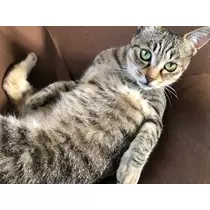 一咲 エム