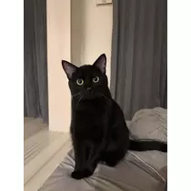 水瀬 そら