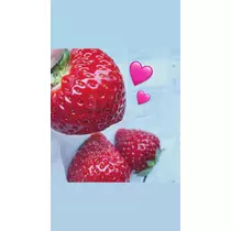 みむ