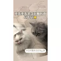 りな