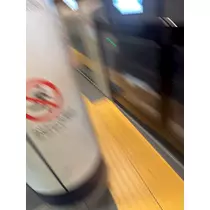 せいか