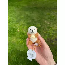 緑 四葉