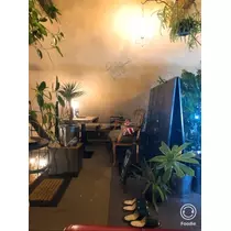 宝條 夏恋