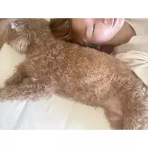 美波 あいか