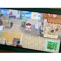 りほ